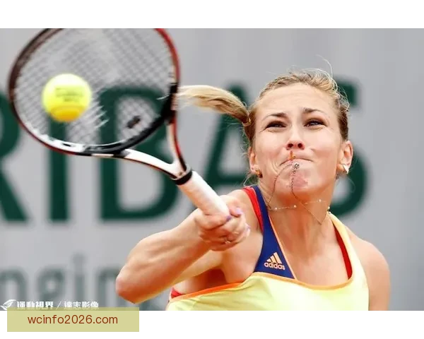 ATP公布球员养老金方案第一层级每人12点9万美元共300人受益引关注