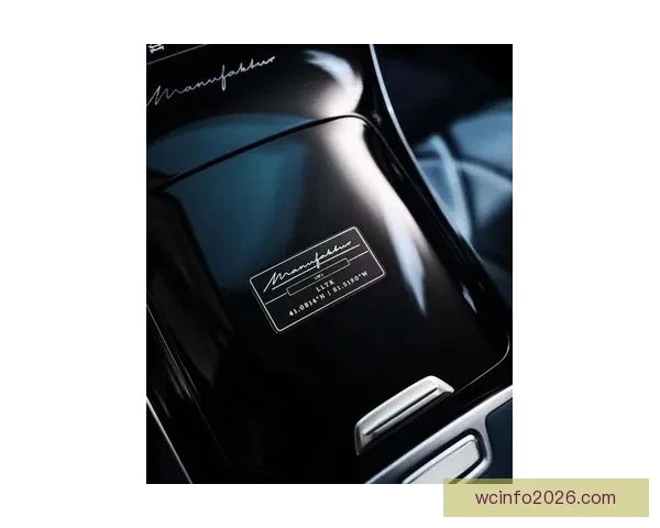 詹姆斯偶遇鳄鱼后晒30万美元定制迈巴赫 已收藏超十台顶级豪车